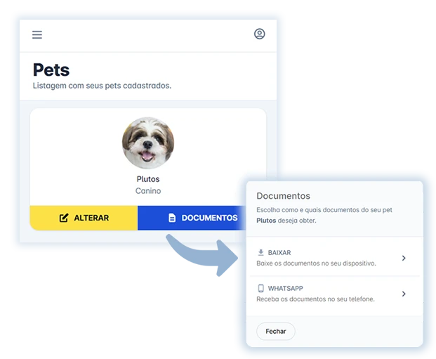 Solicitar Documentos
